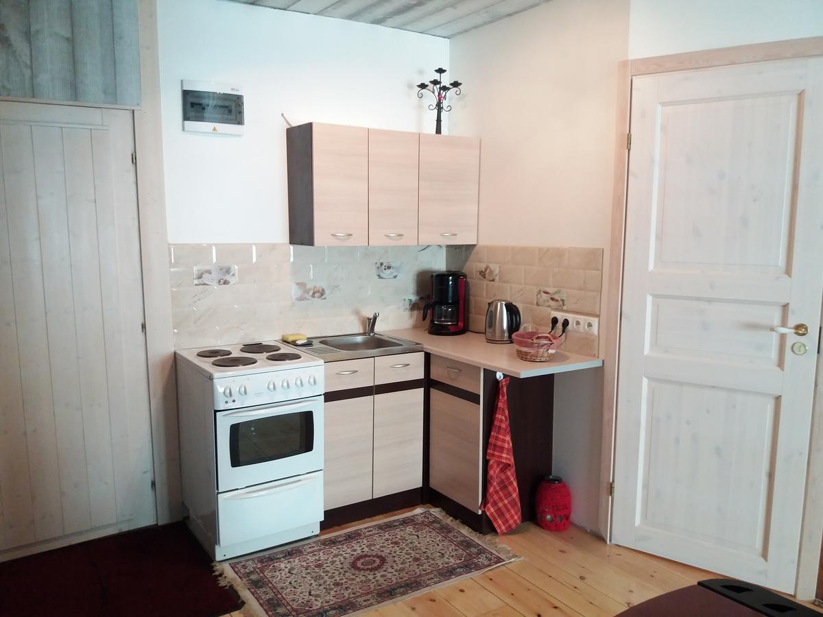 Mulgi Apartment Viljandi  Extérieur photo